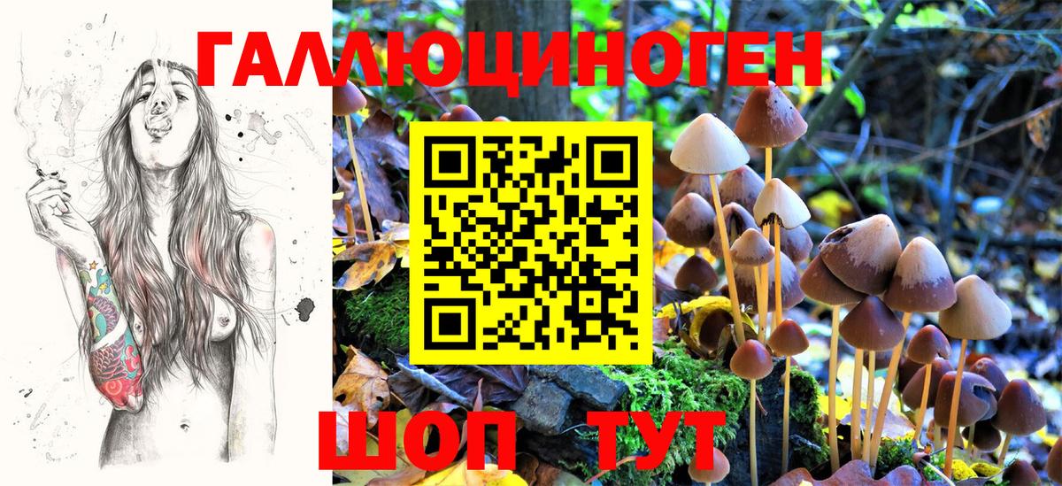 Зеленодольск  Псилоцибиновые грибы Psilocybe  Вход с VPN 